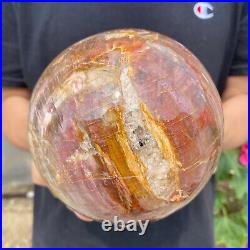 6.2lb Natural Petrified Wood fossil Quartz sphere Crystal Ball specimen Healing