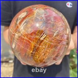 6.2lb Natural Petrified Wood fossil Quartz sphere Crystal Ball specimen Healing