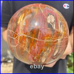 6.2lb Natural Petrified Wood fossil Quartz sphere Crystal Ball specimen Healing