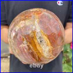 6.2lb Natural Petrified Wood fossil Quartz sphere Crystal Ball specimen Healing