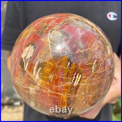 6.2lb Natural Petrified Wood fossil Quartz sphere Crystal Ball specimen Healing