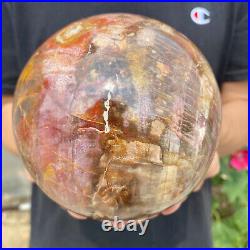 6.2lb Natural Petrified Wood fossil Quartz sphere Crystal Ball specimen Healing