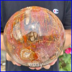 6.2lb Natural Petrified Wood fossil Quartz sphere Crystal Ball specimen Healing