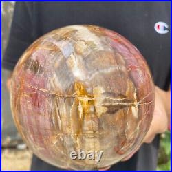 6.2lb Natural Petrified Wood fossil Quartz sphere Crystal Ball specimen Healing