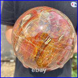 6.2lb Natural Petrified Wood fossil Quartz sphere Crystal Ball specimen Healing