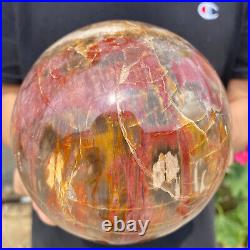 6.2lb Natural Petrified Wood fossil Quartz sphere Crystal Ball specimen Healing