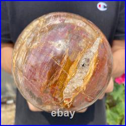 6.2lb Natural Petrified Wood fossil Quartz sphere Crystal Ball specimen Healing