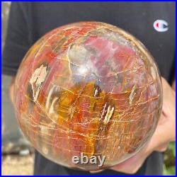 6.2lb Natural Petrified Wood fossil Quartz sphere Crystal Ball specimen Healing