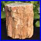 6_39lb_Natural_Petrified_Wood_Fossil_Crystal_Polished_Slice_Madagascar_01_tp