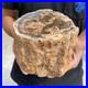 6_3lb_Rare_Natural_petrified_wood_rough_Wood_fossil_mineral_specimen_healing_01_aw