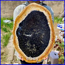 6.50LB Large Natural Petrified Wood Crystal Fossil Slice Shape Specimen Healing