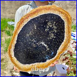 6.50LB Large Natural Petrified Wood Crystal Fossil Slice Shape Specimen Healing