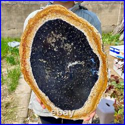 6.50LB Large Natural Petrified Wood Crystal Fossil Slice Shape Specimen Healing