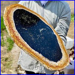 6.50LB Large Natural Petrified Wood Crystal Fossil Slice Shape Specimen Healing