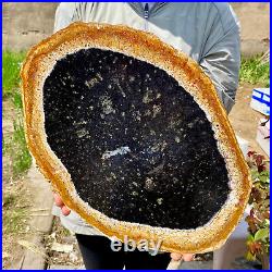 6.50LB Large Natural Petrified Wood Crystal Fossil Slice Shape Specimen Healing