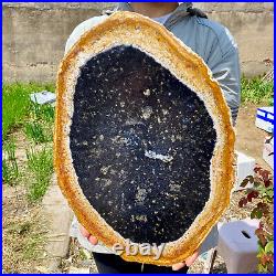 6.50LB Large Natural Petrified Wood Crystal Fossil Slice Shape Specimen Healing