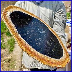 6.50LB Large Natural Petrified Wood Crystal Fossil Slice Shape Specimen Healing