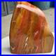 6_5LB_Natural_Fossil_Petrified_Wood_Polished_Freeform_Crystal_Mineral_Healing_01_bfuf