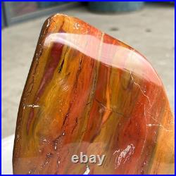 6.5LB Natural Fossil Petrified Wood Polished Freeform Crystal Mineral Healing 6.5LB Natural Fossil Petrified Wood Polished Freeform Crystal Mineral Healing