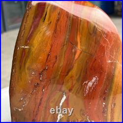 6.5LB Natural Fossil Petrified Wood Polished Freeform Crystal Mineral Healing 6.5LB Natural Fossil Petrified Wood Polished Freeform Crystal Mineral Healing