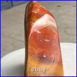 6.5LB Natural Fossil Petrified Wood Polished Freeform Crystal Mineral Healing 6.5LB Natural Fossil Petrified Wood Polished Freeform Crystal Mineral Healing