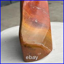 6.5LB Natural Fossil Petrified Wood Polished Freeform Crystal Mineral Healing 6.5LB Natural Fossil Petrified Wood Polished Freeform Crystal Mineral Healing