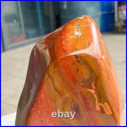 6.5LB Natural Fossil Petrified Wood Polished Freeform Crystal Mineral Healing 6.5LB Natural Fossil Petrified Wood Polished Freeform Crystal Mineral Healing