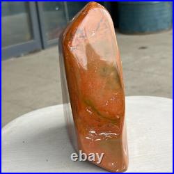 6.5LB Natural Fossil Petrified Wood Polished Freeform Crystal Mineral Healing 6.5LB Natural Fossil Petrified Wood Polished Freeform Crystal Mineral Healing
