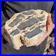 6_5LB_Rare_Natural_petrified_wood_rough_Wood_fossil_mineral_specimen_healing_01_jlij