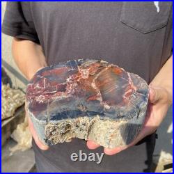 6.6LB Natural petrified wood rough Wood fossil mineral specimen healing energy 6.6LB Natural petrified wood rough Wood fossil mineral specimen healing energy