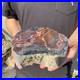 6_6LB_Natural_petrified_wood_rough_Wood_fossil_mineral_specimen_healing_energy_01_wdd