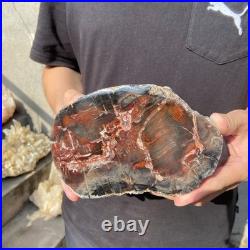 6.6LB Natural petrified wood rough Wood fossil mineral specimen healing energy 6.6LB Natural petrified wood rough Wood fossil mineral specimen healing energy