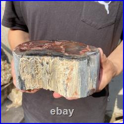 6.6LB Natural petrified wood rough Wood fossil mineral specimen healing energy 6.6LB Natural petrified wood rough Wood fossil mineral specimen healing energy