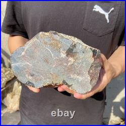 6.6LB Natural petrified wood rough Wood fossil mineral specimen healing energy 6.6LB Natural petrified wood rough Wood fossil mineral specimen healing energy