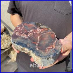 6.6LB Natural petrified wood rough Wood fossil mineral specimen healing energy 6.6LB Natural petrified wood rough Wood fossil mineral specimen healing energy