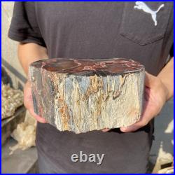 6.6LB Natural petrified wood rough Wood fossil mineral specimen healing energy 6.6LB Natural petrified wood rough Wood fossil mineral specimen healing energy