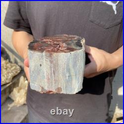 6.6LB Natural petrified wood rough Wood fossil mineral specimen healing energy 6.6LB Natural petrified wood rough Wood fossil mineral specimen healing energy