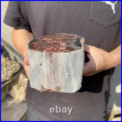 6.6LB Natural petrified wood rough Wood fossil mineral specimen healing energy 6.6LB Natural petrified wood rough Wood fossil mineral specimen healing energy