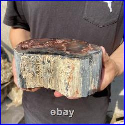 6.6LB Natural petrified wood rough Wood fossil mineral specimen healing energy 6.6LB Natural petrified wood rough Wood fossil mineral specimen healing energy