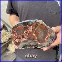 6.6LB Natural petrified wood rough Wood fossil mineral specimen healing energy 6.6LB Natural petrified wood rough Wood fossil mineral specimen healing energy