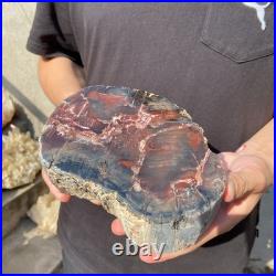 6.6LB Natural petrified wood rough Wood fossil mineral specimen healing energy 6.6LB Natural petrified wood rough Wood fossil mineral specimen healing energy