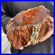 6_6lb_Rare_Natural_petrified_wood_rough_Wood_fossil_mineral_specimen_healing_01_dg