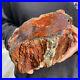6_6lb_Rare_Natural_petrified_wood_rough_Wood_fossil_mineral_specimen_healing_01_fysa