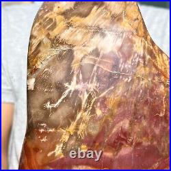 6.72LB Natural Fossil Petrified Wood Polished Freeform Crystal Mineral Healing