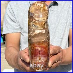 6.72LB Natural Fossil Petrified Wood Polished Freeform Crystal Mineral Healing