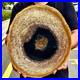 6_75LB_Large_Natural_Petrified_Wood_Crystal_Fossil_Slice_Shape_Specimen_Healing_01_mxus