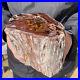 6_7LB_Rare_RED_Natural_petrified_wood_rough_Wood_fossil_mineral_specimen_healing_01_vwmu