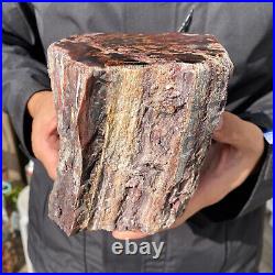 6.7LB Rare RED Natural petrified wood rough Wood fossil mineral specimen healing