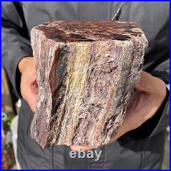 6.7LB Rare RED Natural petrified wood rough Wood fossil mineral specimen healing
