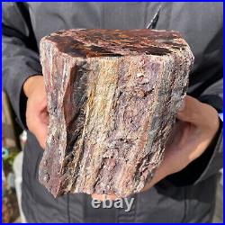 6.7LB Rare RED Natural petrified wood rough Wood fossil mineral specimen healing